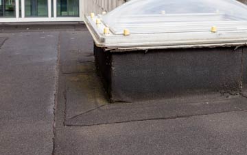disadvantages of West Harlsey flat roofs